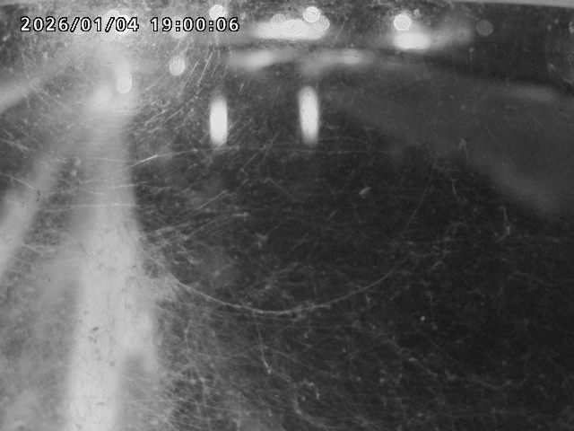 日野川４2026/01/05 10:50:00