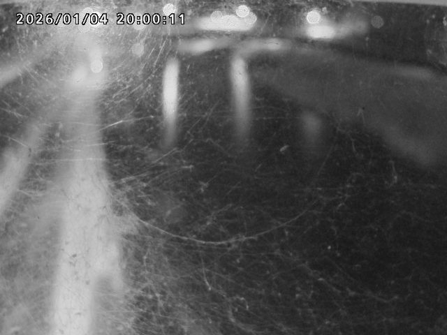 日野川４2026/01/05 10:50:00