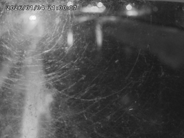 日野川４2026/01/05 10:50:00