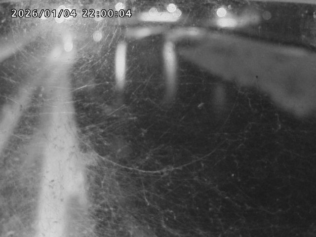 日野川４2026/01/05 10:50:00