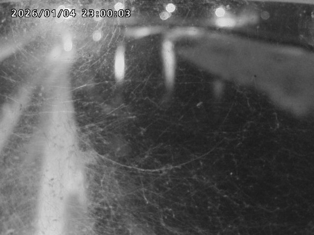 日野川４2026/01/05 10:50:00