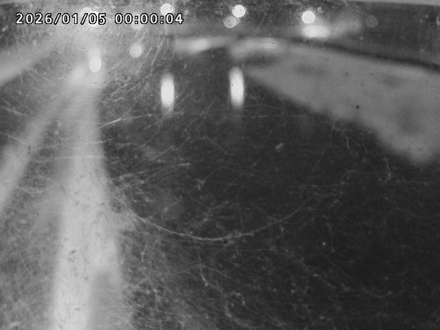 日野川４2026/01/05 10:50:00