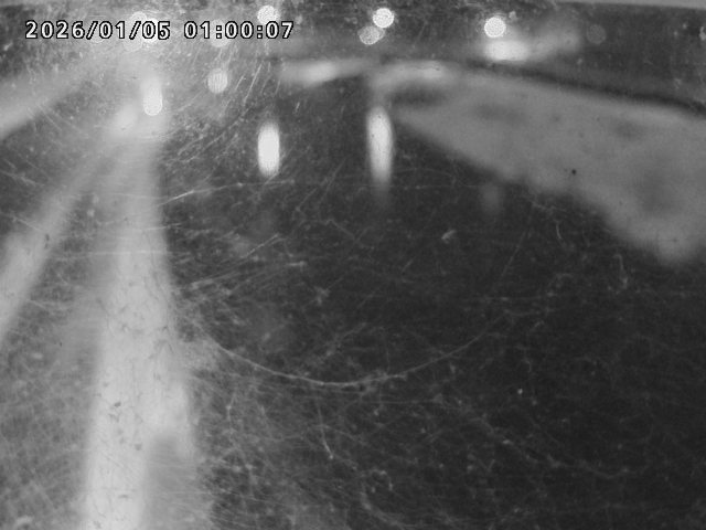 日野川４2026/01/05 10:50:00