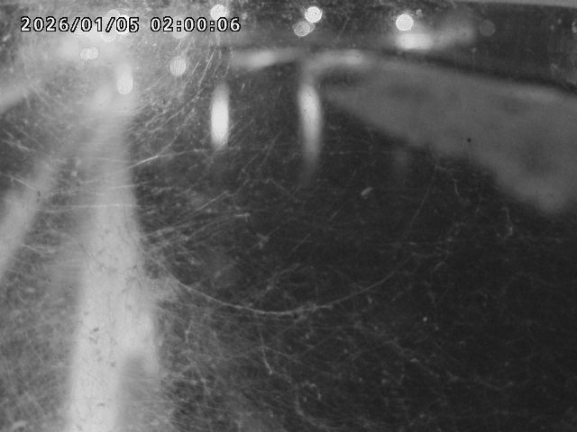 日野川４2026/01/05 10:50:00