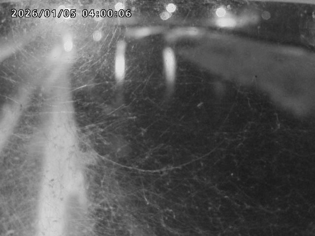 日野川４2026/01/05 10:50:00