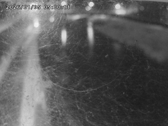 日野川４2026/01/05 10:50:00