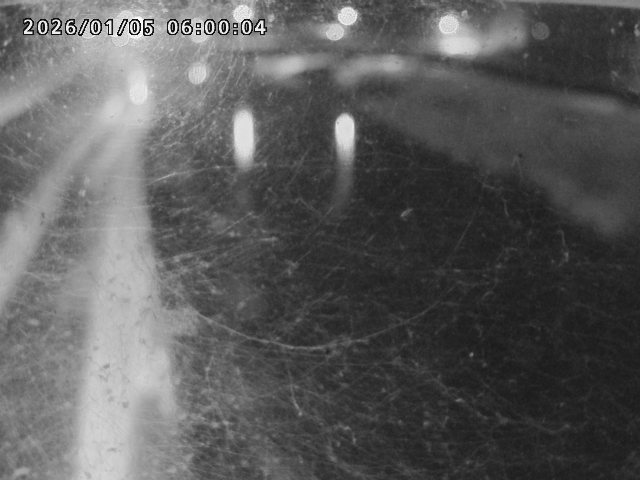 日野川４2026/01/05 10:50:00