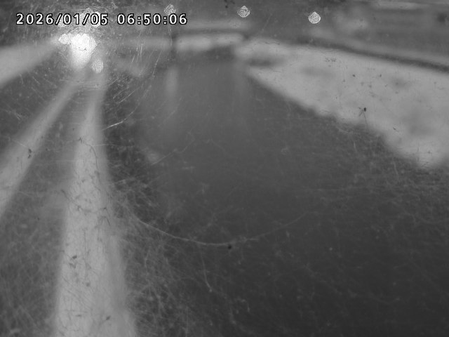 日野川４2026/01/05 10:50:00