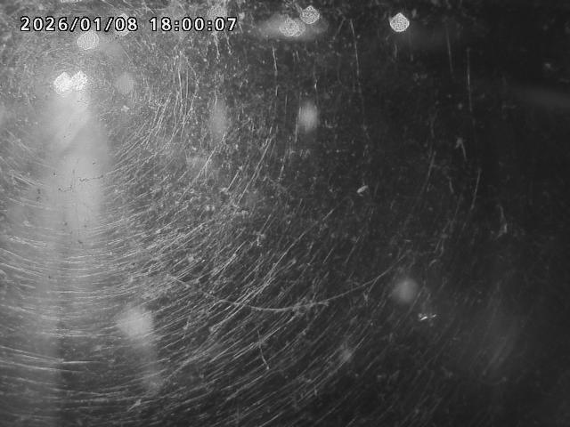 日野川４2026/01/09 11:30:00