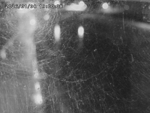 日野川４2026/01/09 11:30:00