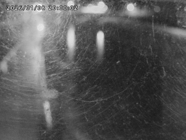 日野川４2026/01/09 11:30:00