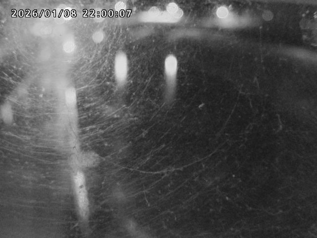 日野川４2026/01/09 11:30:00