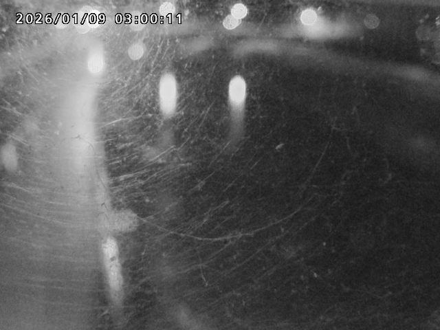 日野川４2026/01/09 11:30:00