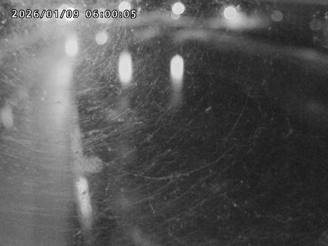 日野川４2026/01/09 11:30:00