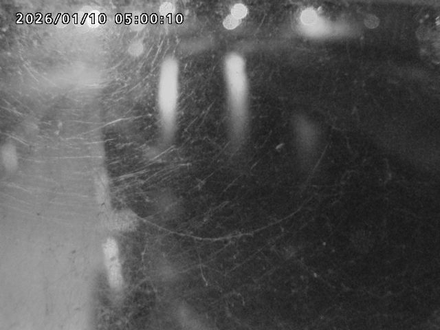 日野川４2026/01/11 5:40:00