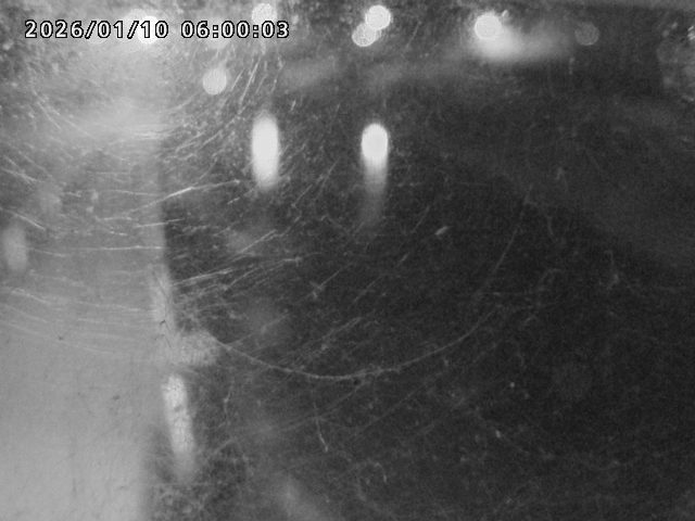 日野川４2026/01/11 5:40:00