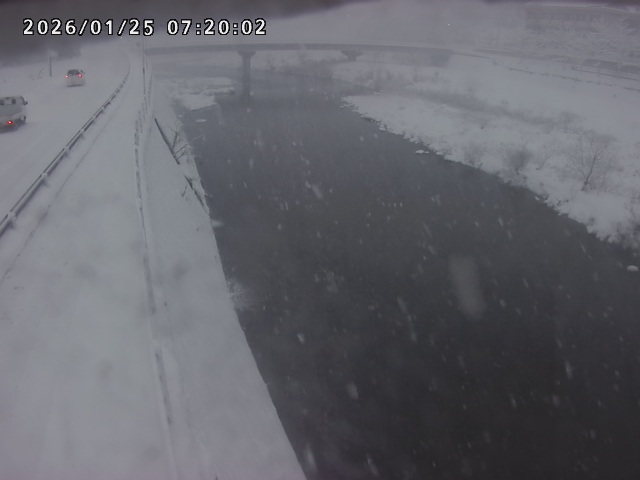 日野川４2026/01/25 9:00:00