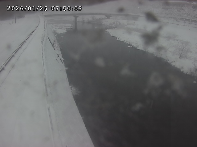 日野川４2026/01/25 9:00:00