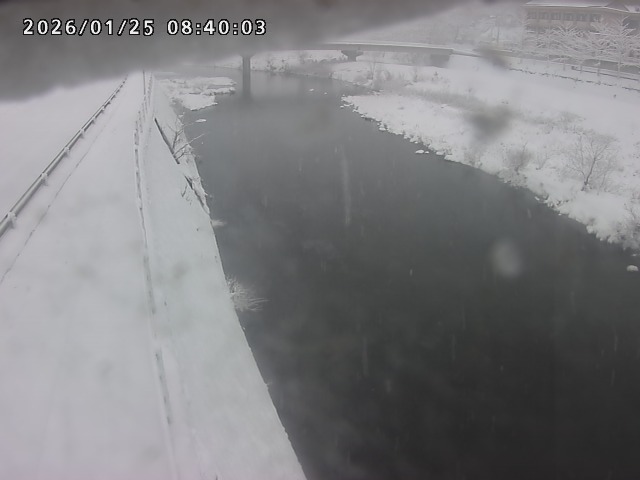 日野川４2026/01/25 9:00:00