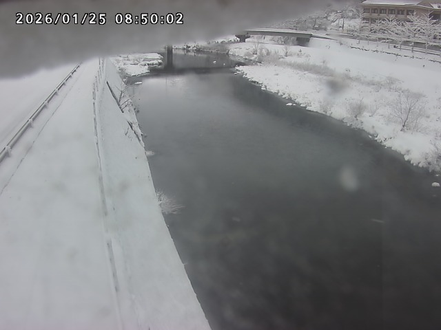 日野川４2026/01/25 9:00:00