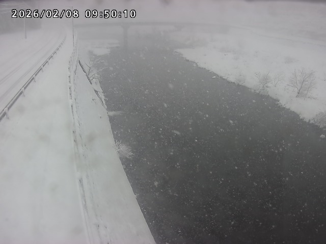 日野川４2026/02/08 10:50:00