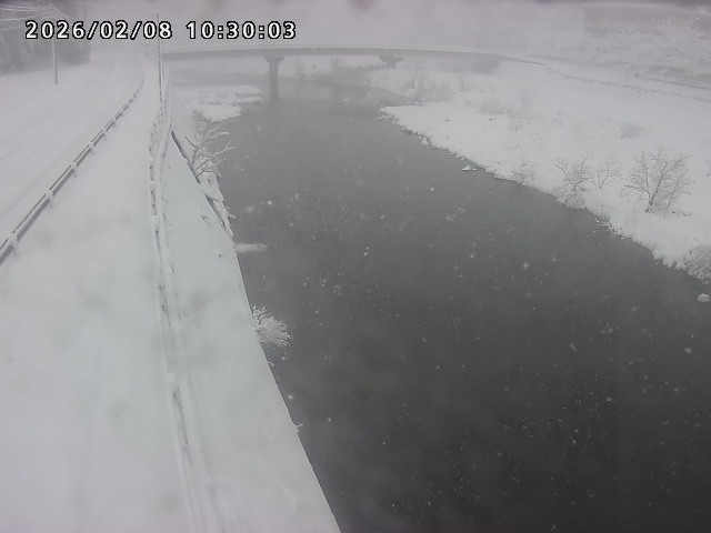 日野川４2026/02/08 10:50:00