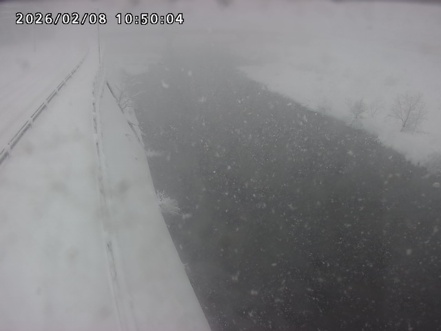 日野川４2026/02/08 10:50:00