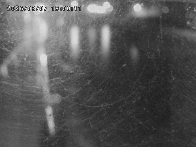 日野川４2026/03/08 16:10:00