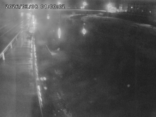 日野川４2026/03/08 16:10:00