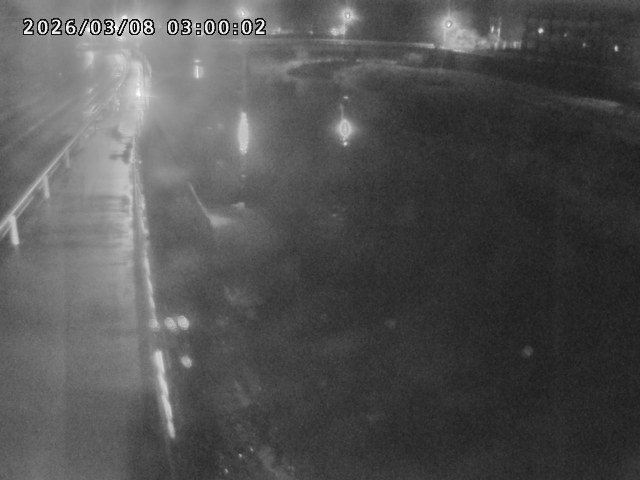 日野川４2026/03/08 16:10:00