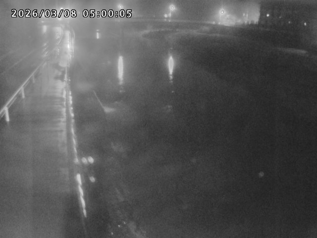 日野川４2026/03/08 16:10:00