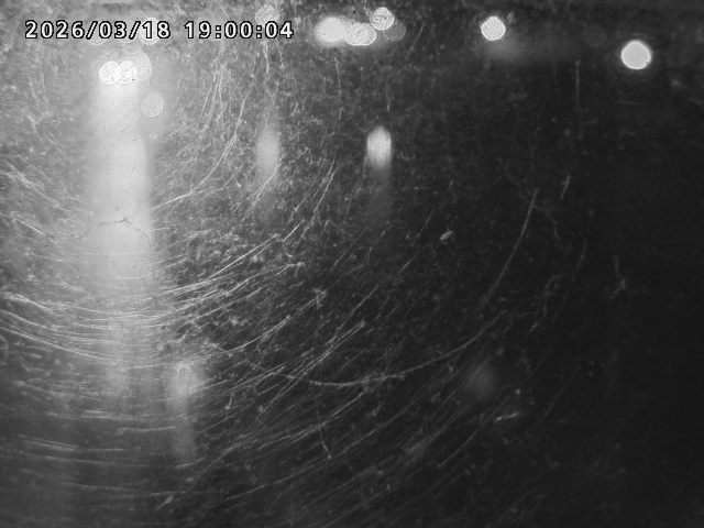 日野川４2026/03/19 19:30:00