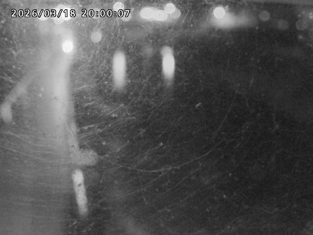 日野川４2026/03/19 19:30:00