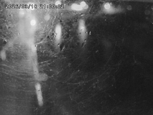 日野川４2026/03/19 19:30:00