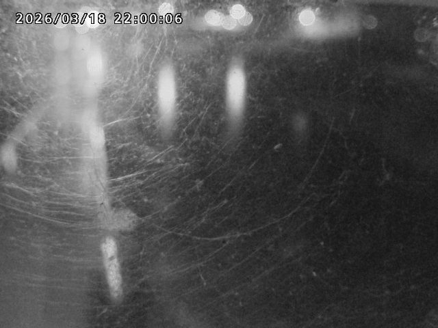 日野川４2026/03/19 19:30:00