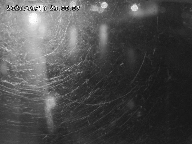 日野川４2026/03/19 19:30:00