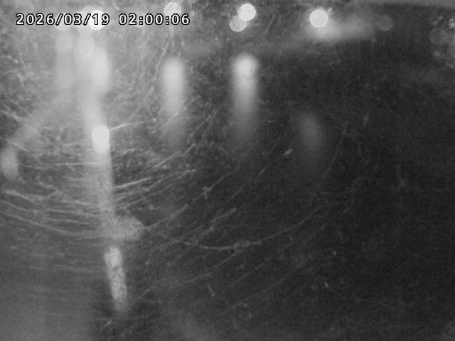 日野川４2026/03/19 19:30:00