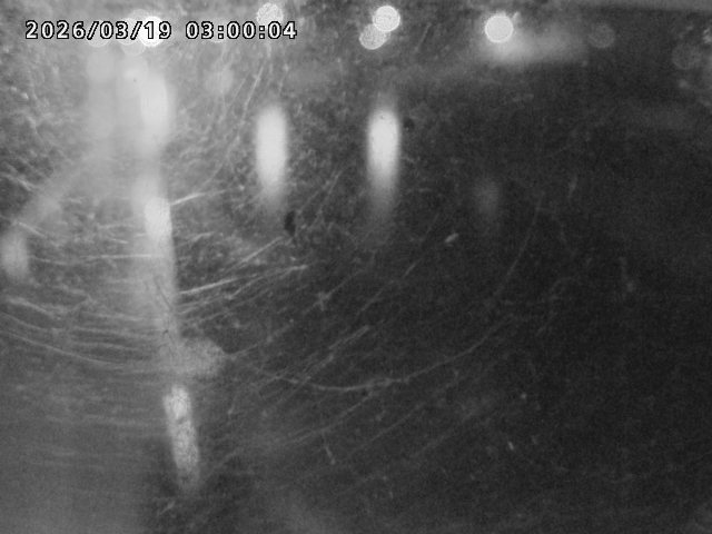 日野川４2026/03/19 19:30:00