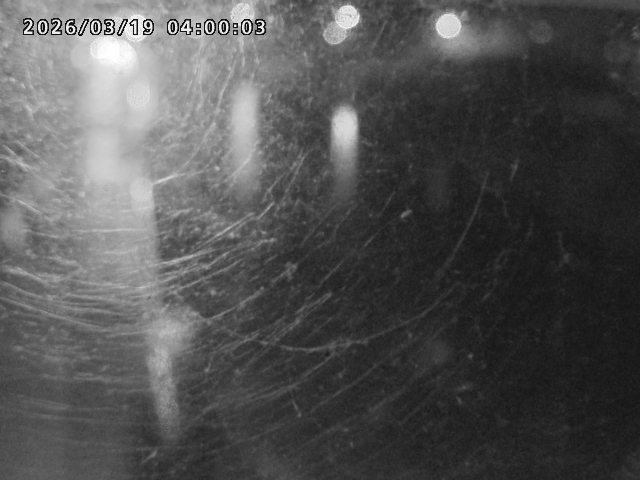 日野川４2026/03/19 19:30:00