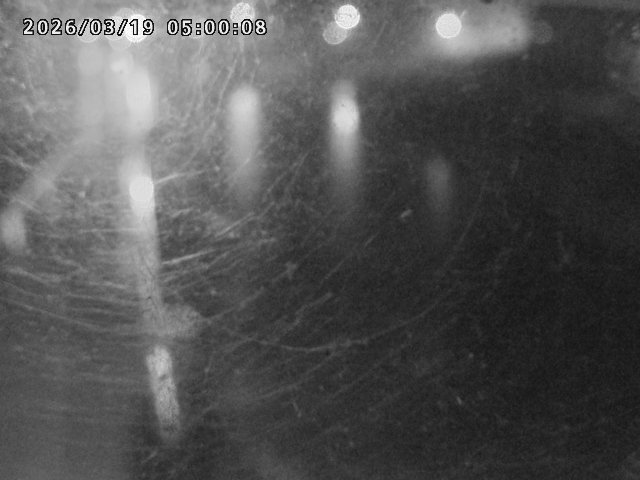 日野川４2026/03/19 19:30:00