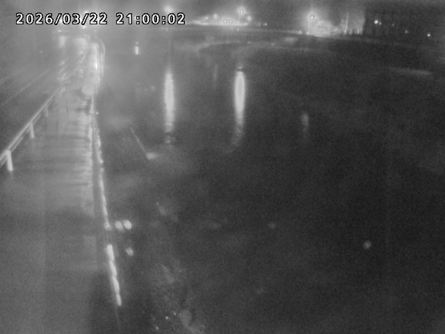 日野川４2026/03/23 7:30:00