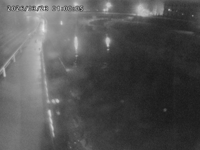 日野川４2026/03/23 7:30:00