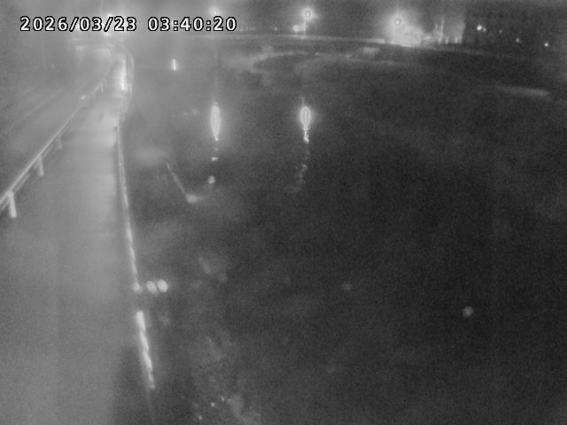 日野川４2026/03/23 7:30:00