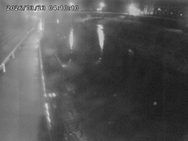 日野川４2026/03/23 7:30:00