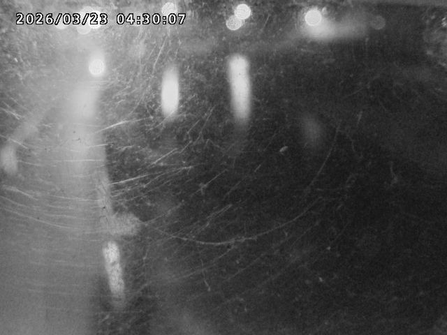 日野川４2026/03/23 7:30:00