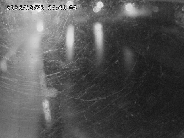 日野川４2026/03/23 7:30:00