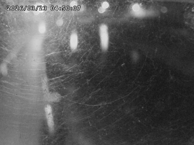 日野川４2026/03/23 7:30:00