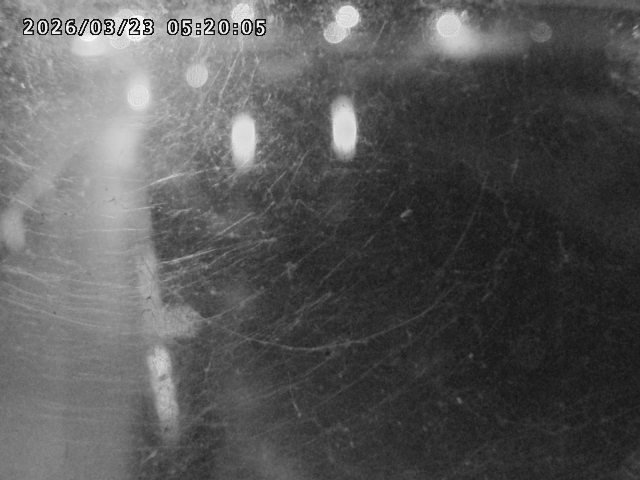 日野川４2026/03/23 7:30:00