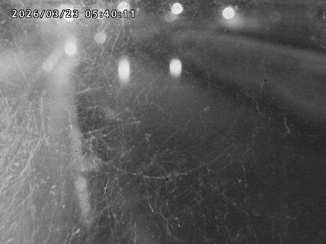 日野川４2026/03/23 7:30:00