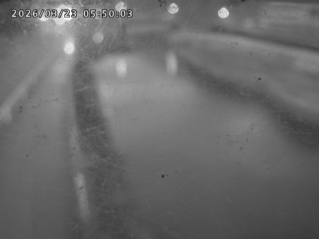 日野川４2026/03/23 7:30:00